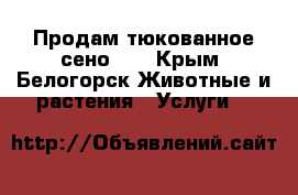 Продам тюкованное сено!!! - Крым, Белогорск Животные и растения » Услуги   